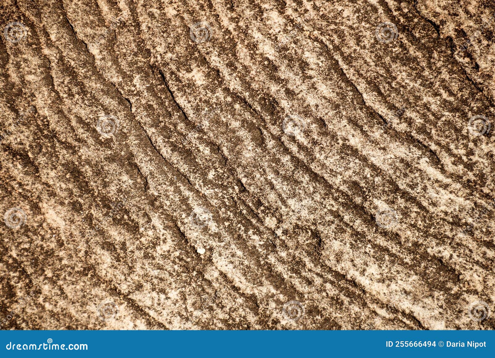 Sandstone Surface Eroded Rock Cliff Textured Natural Background Stock