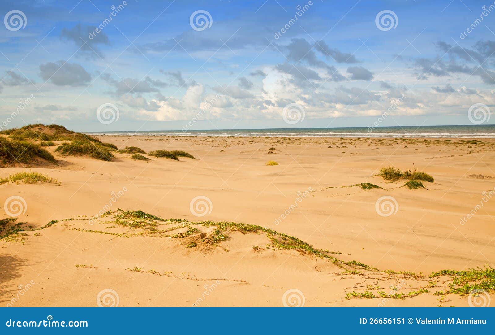 sandunes south padre island