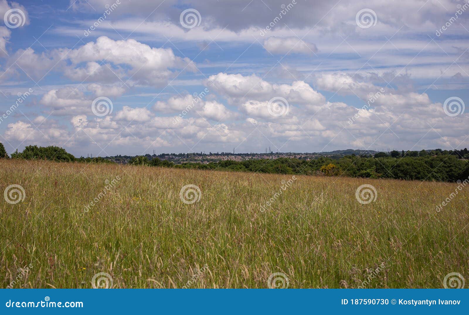 sandwell valley country park field