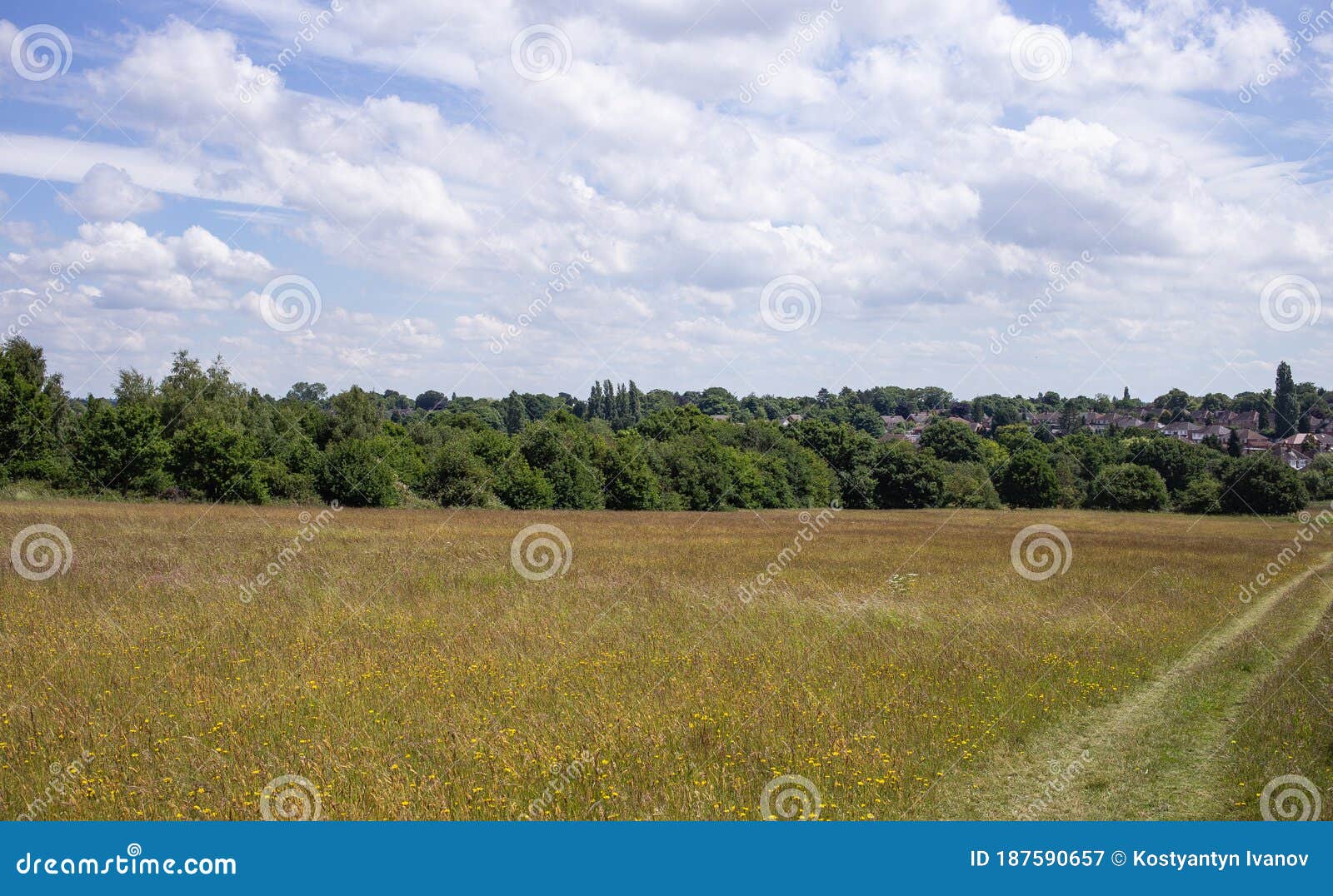sandwell valley country park field