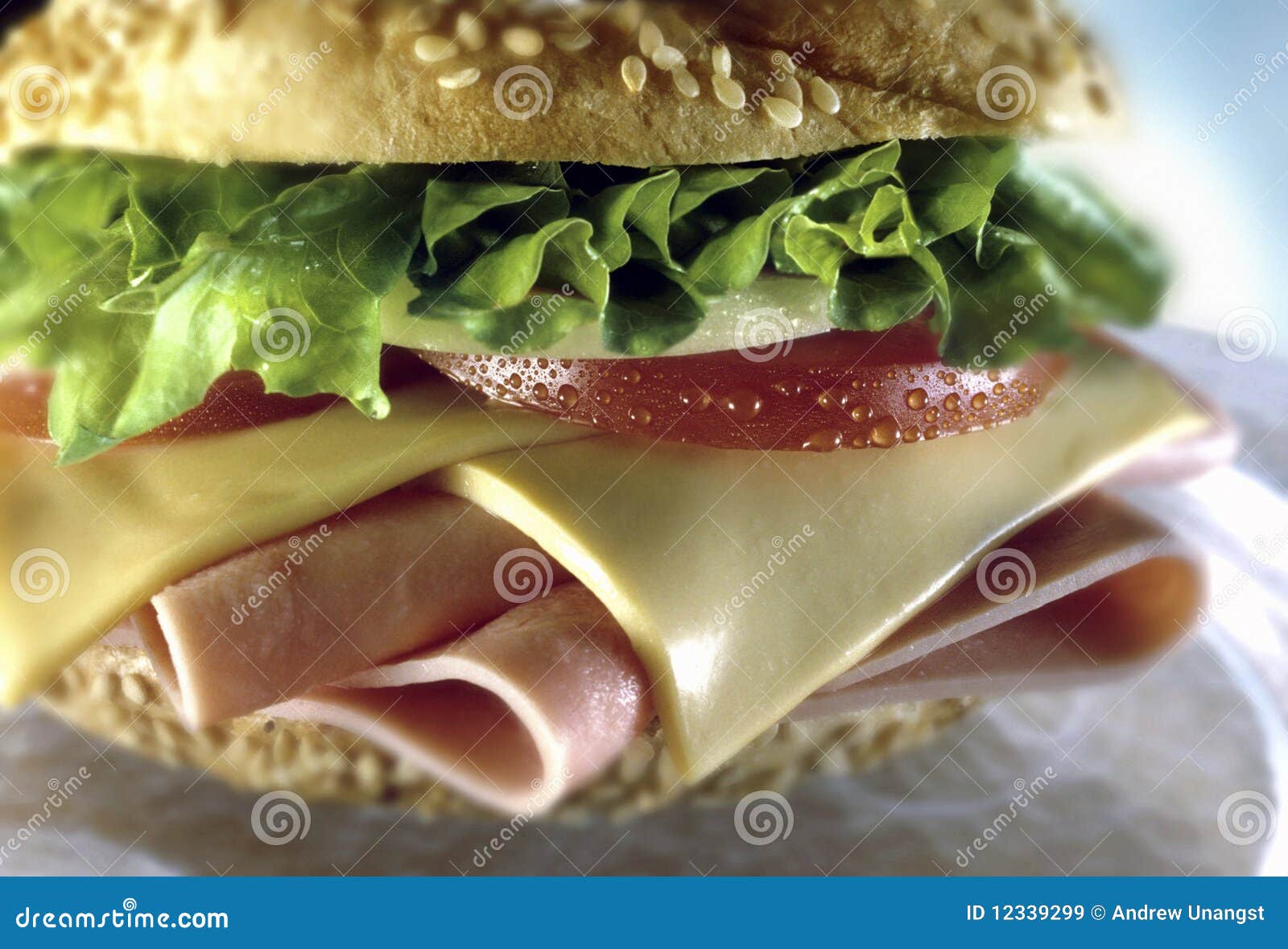 sandwich