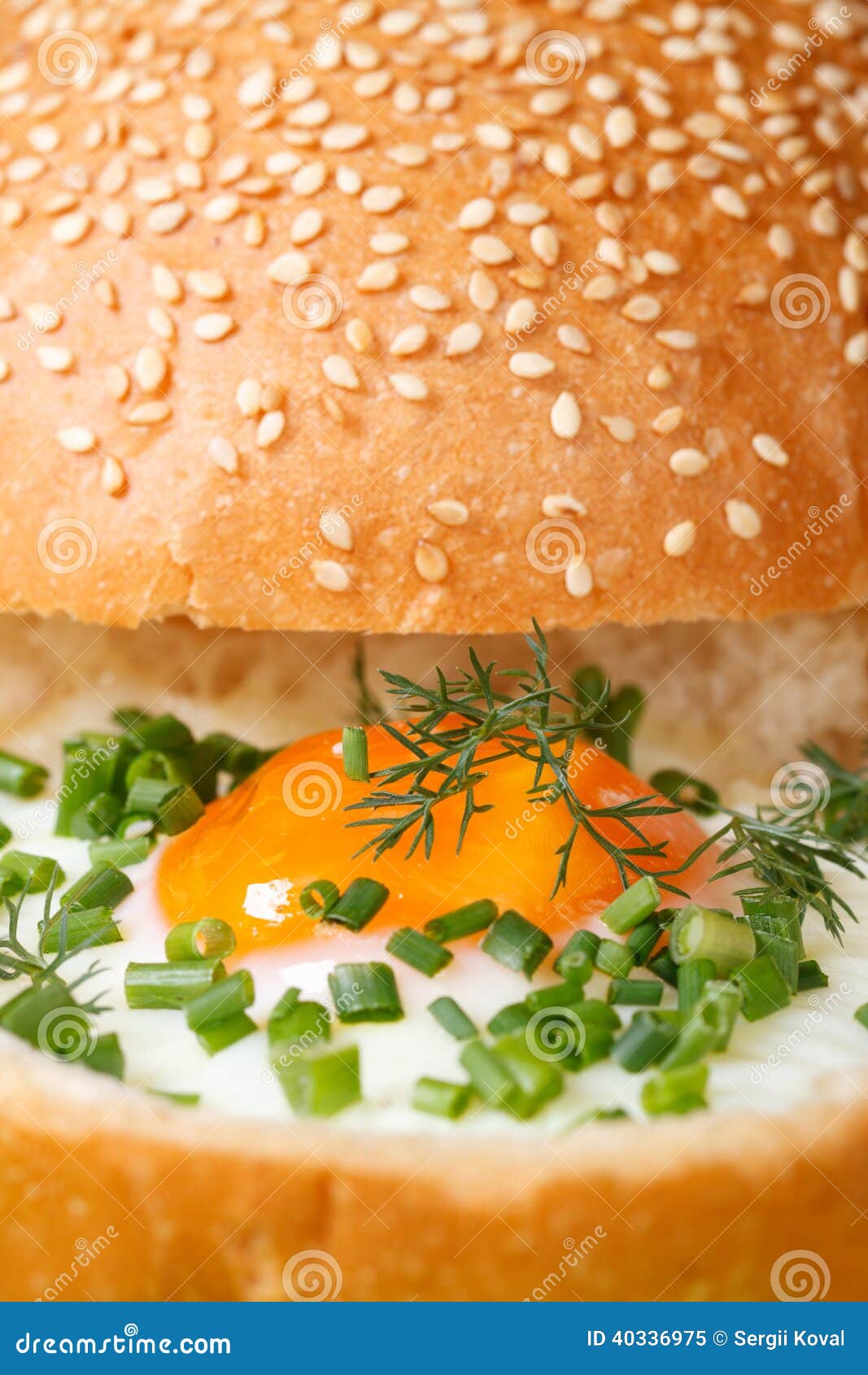 Sandwich with Baked Chicken Eggs Vertical Macro Stock Image Image of
