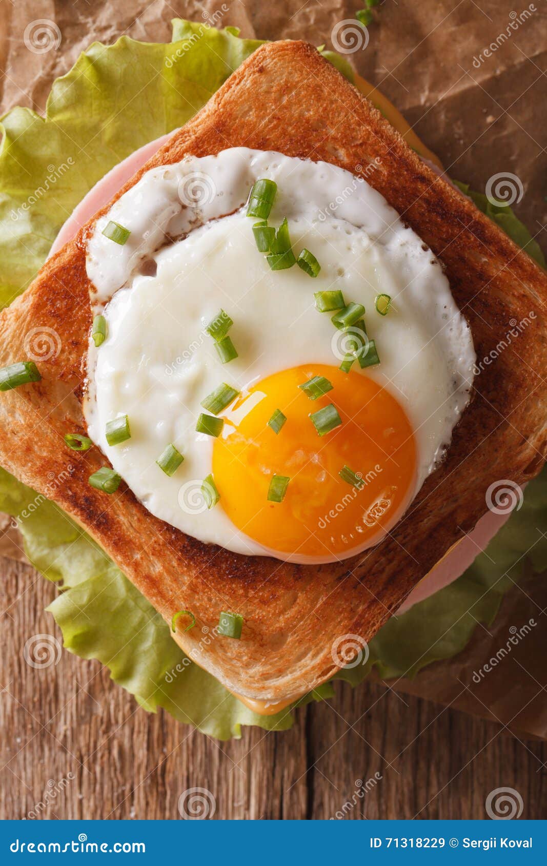 Sandwich with Fried Egg, Ham and Cheese Closeup on a Table Vert Stock