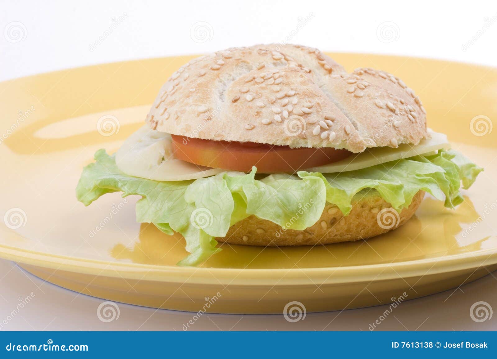 Sandwich on a plate stock photo. Image of food, plate 7613138