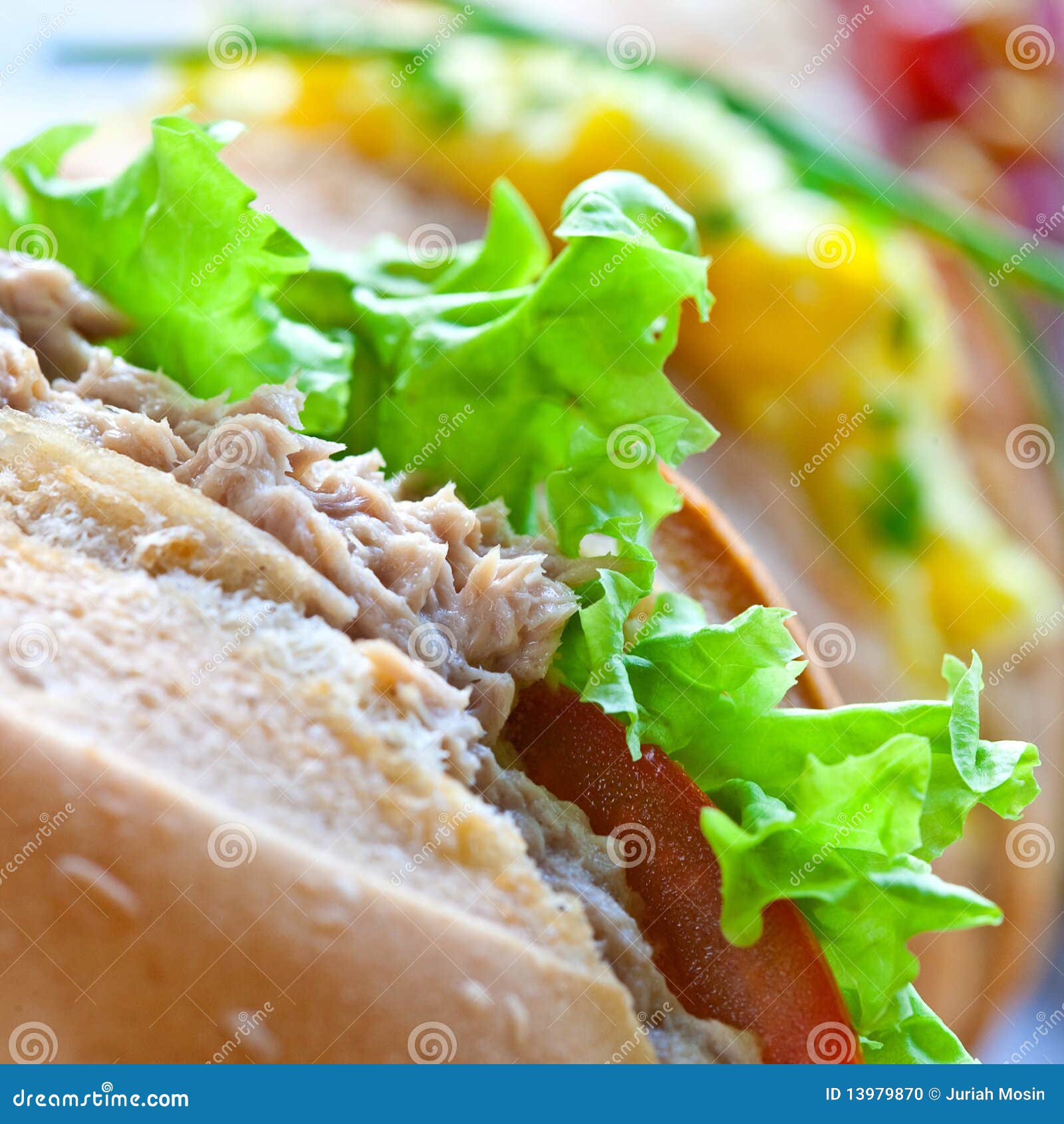 Sandwich Rolls with Egg, Tuna and Salad Stock Photo Image of food, mother 13979870