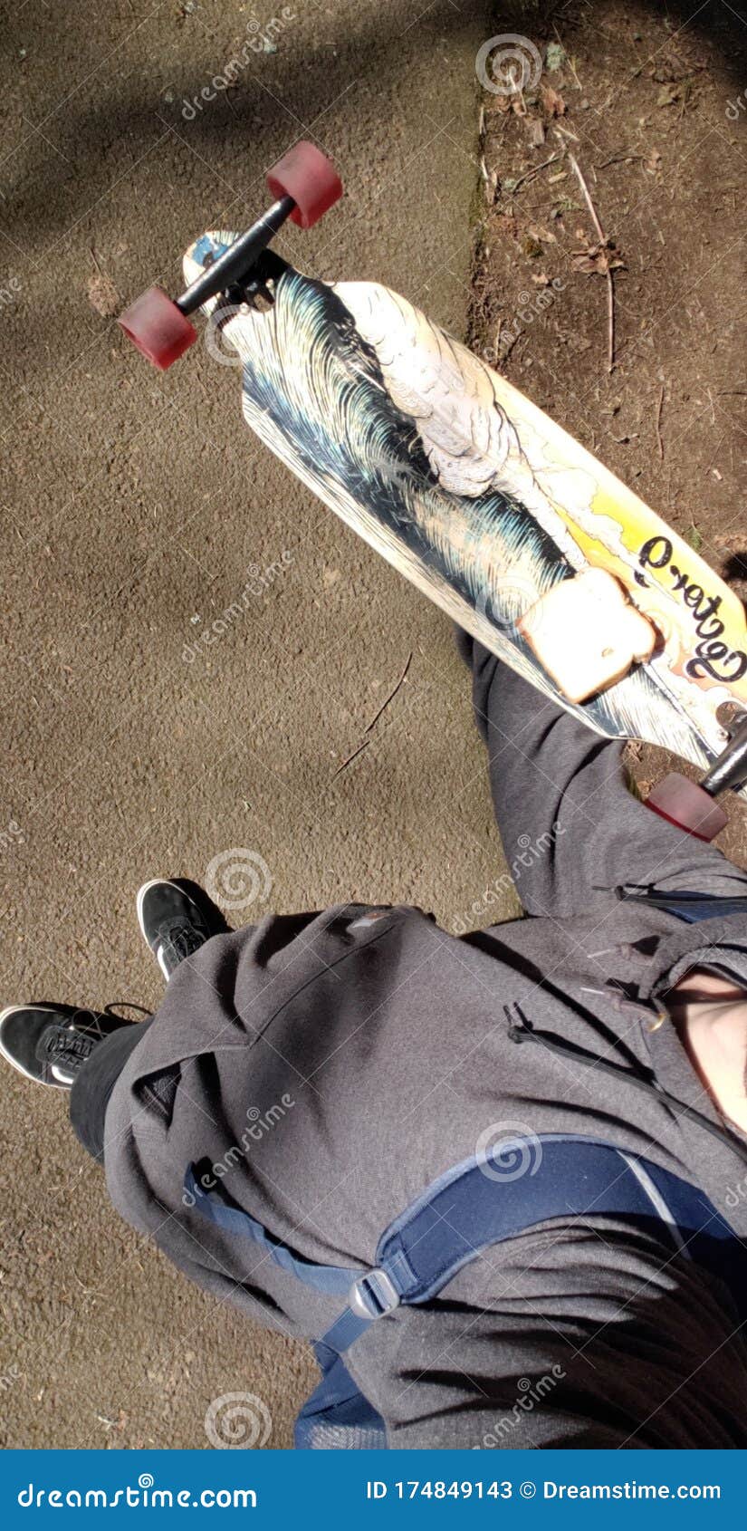 Sandwich on Sector 9 Longboard Stock Image Image of park, carhartt