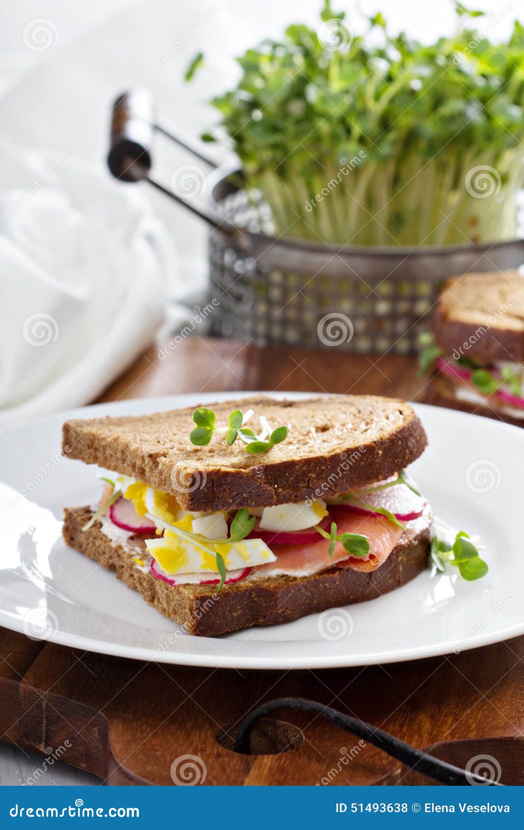 Sandwich with Smoked Salmon, Radishes and Egg Stock Photo Image of