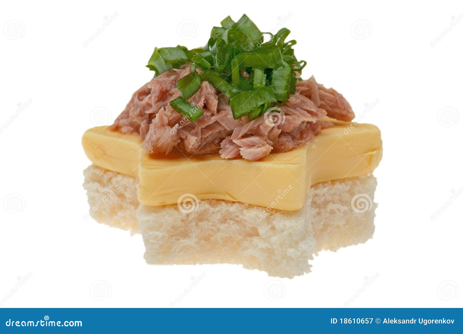 Sandwich with tuna macro stock image. Image of meal, meat 18610657