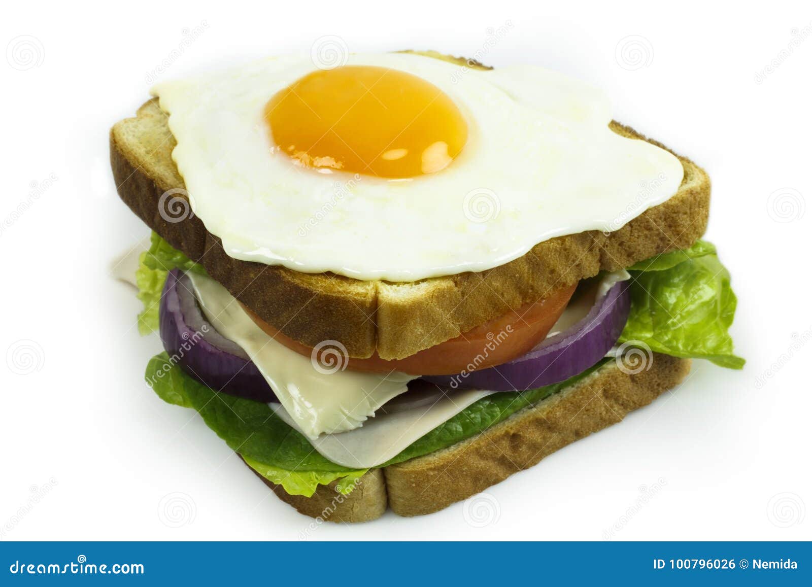 Sandwich of turkey stock photo. Image of lunch, fresh 100796026
