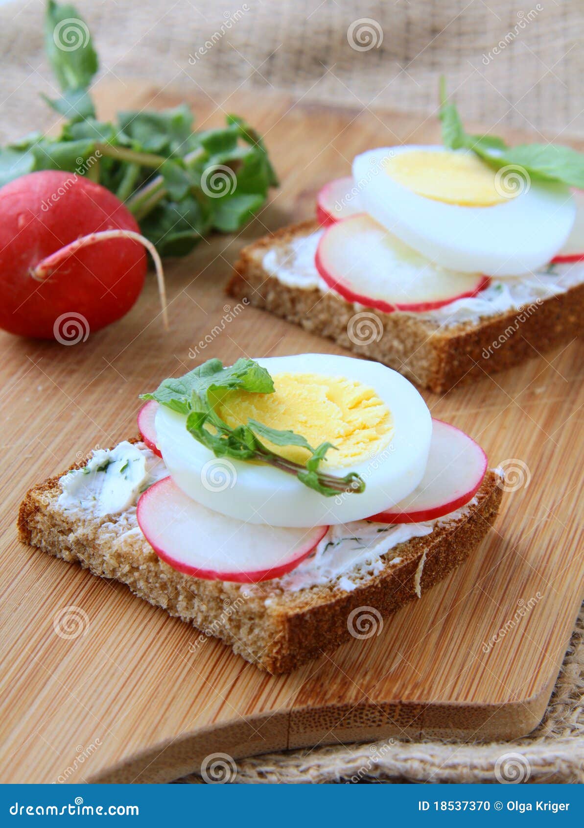 Sandwiches with Eggs Radishes and Cottage Cheese Stock Photo Image of