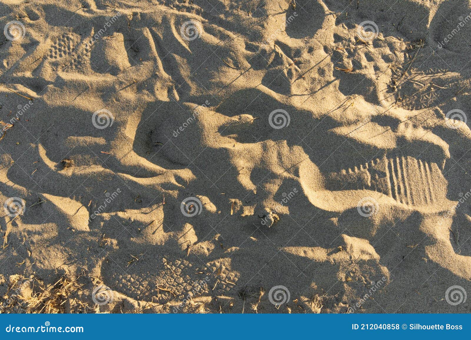 Sandy Beach With Footprints, Shoe Prints In The Sand On The Beach And