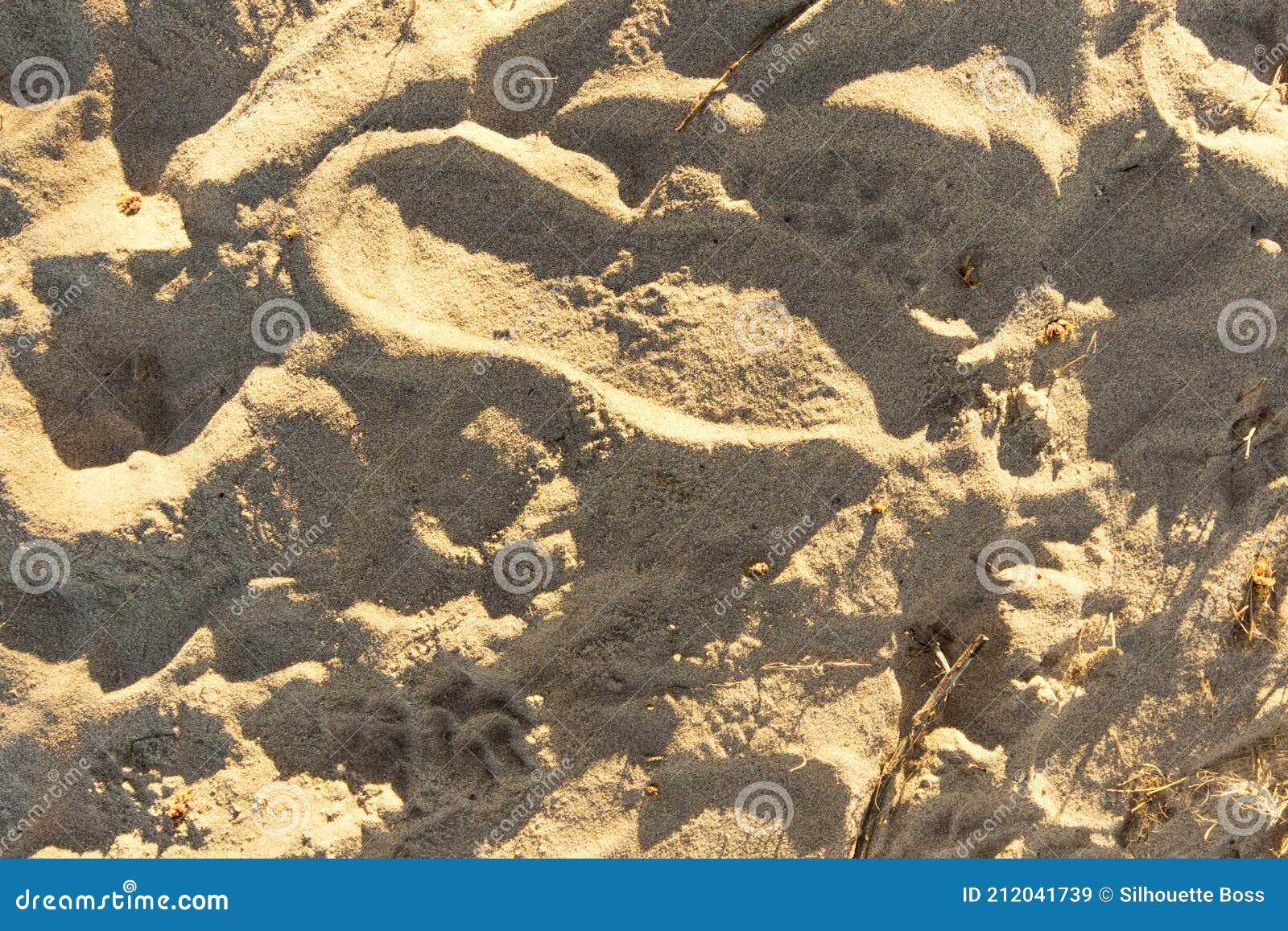 Sandy Beach with Footprints, Shoe Prints in the Sand on the Beach and