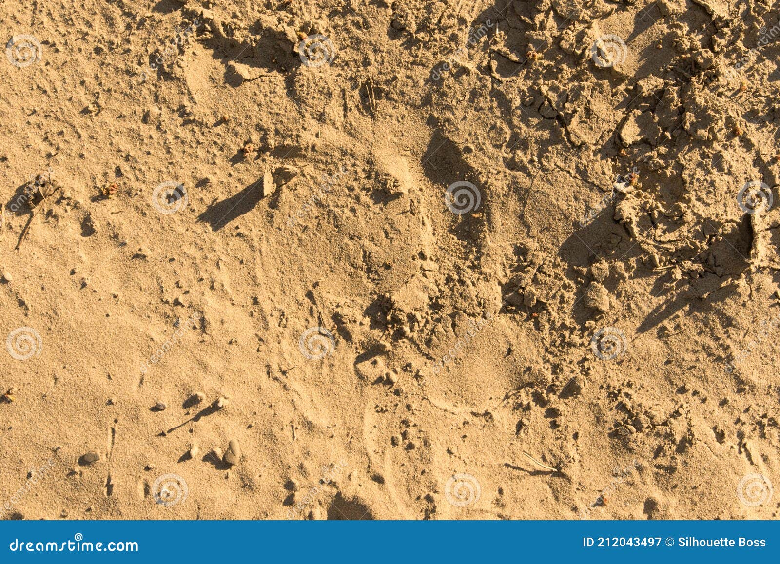 Sandy Beach With Footprints, Shoe Prints In The Sand On The Beach And