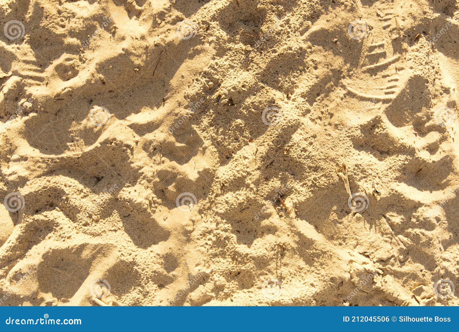 Sandy Beach with Footprints, Shoe Prints in the Sand on the Beach and