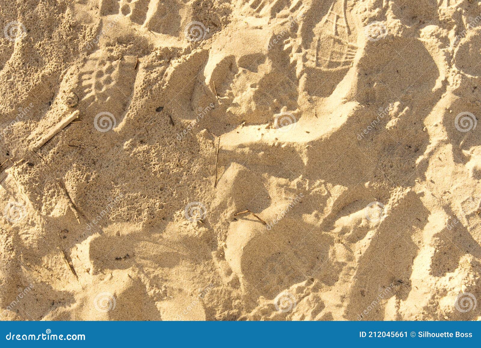 Sandy Beach with Footprints, Shoe Prints in the Sand on the Beach and