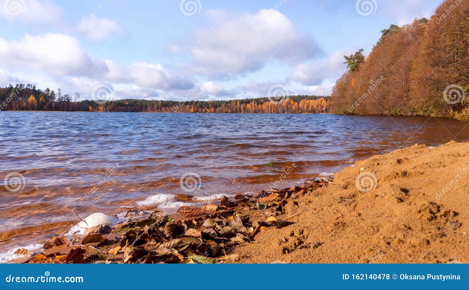 Sandy Beach By The Lake With Autumn Forest Around Sunny Day And