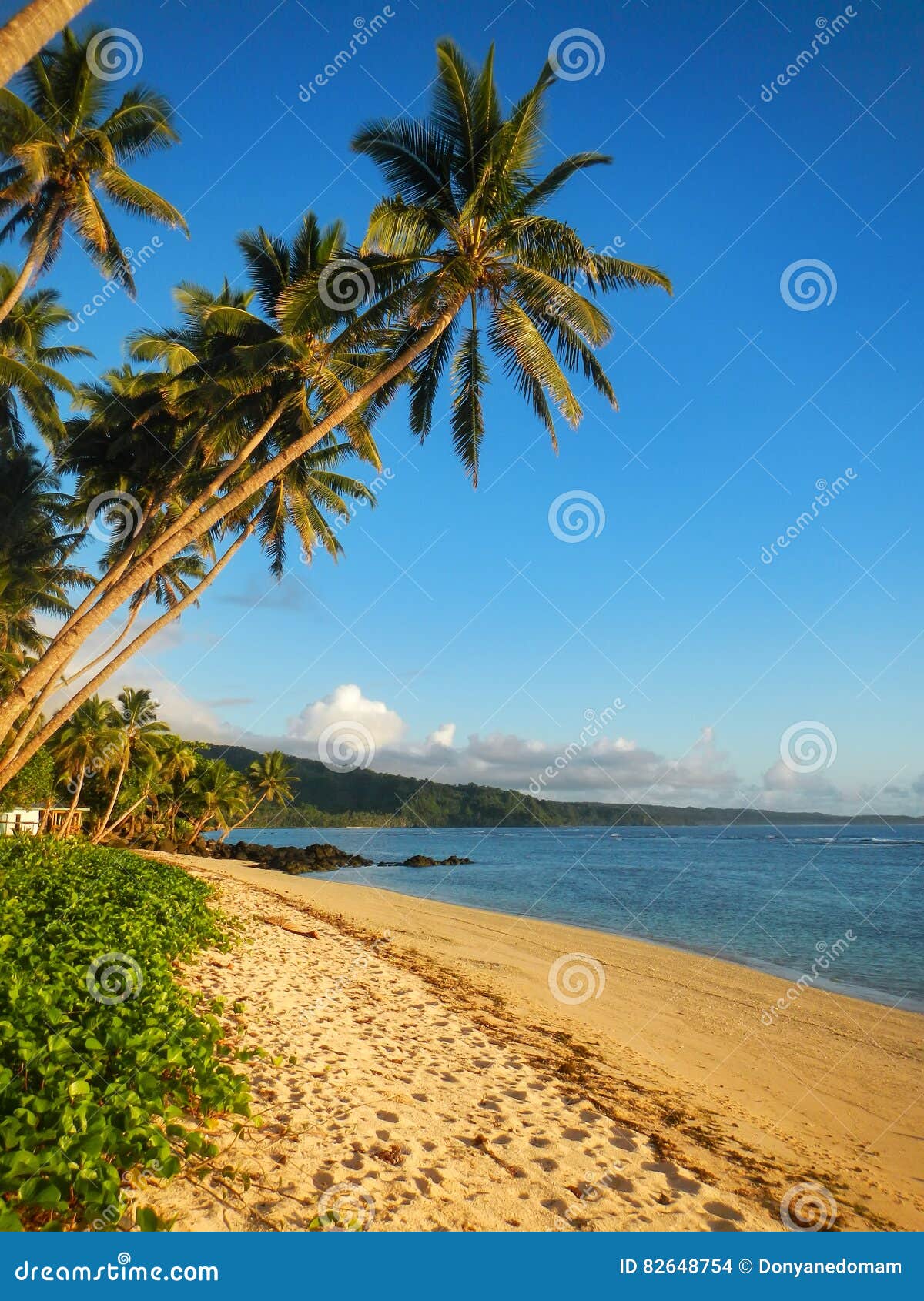 Sandy Beach in Lavena Village on Taveuni Island, Fiji Stock Photo ...