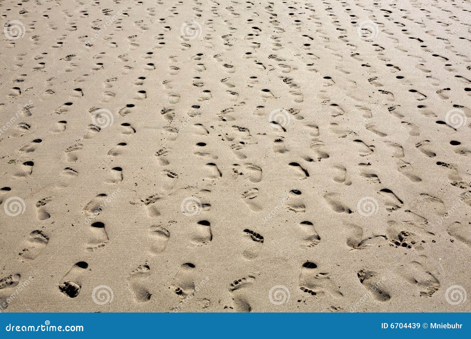 sandy beach - multiple footprints in rows receding