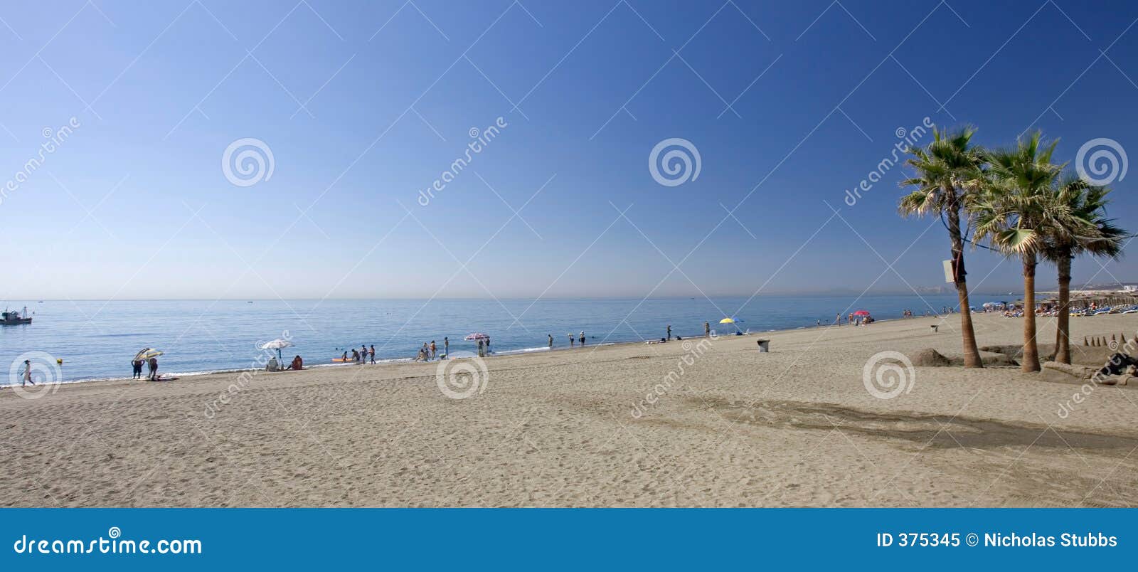 sandy beach with palm trees at estepona in southern spain