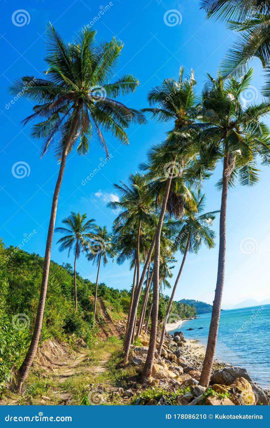 Sandy Beach of a Paradise Deserted Tropical Island. Palm Trees Overhang ...