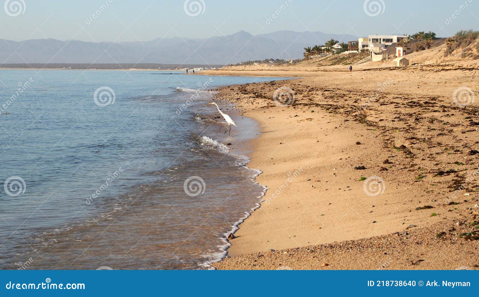 sandy beach on the shore of the sea of cortes, la ventana bay, bcs, mexico