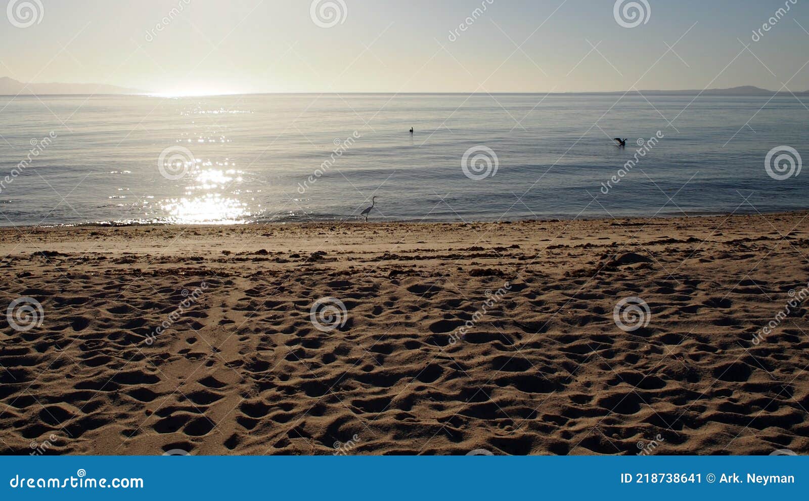sandy beach on the shore of the sea of cortes, la ventana bay, bcs, mexico