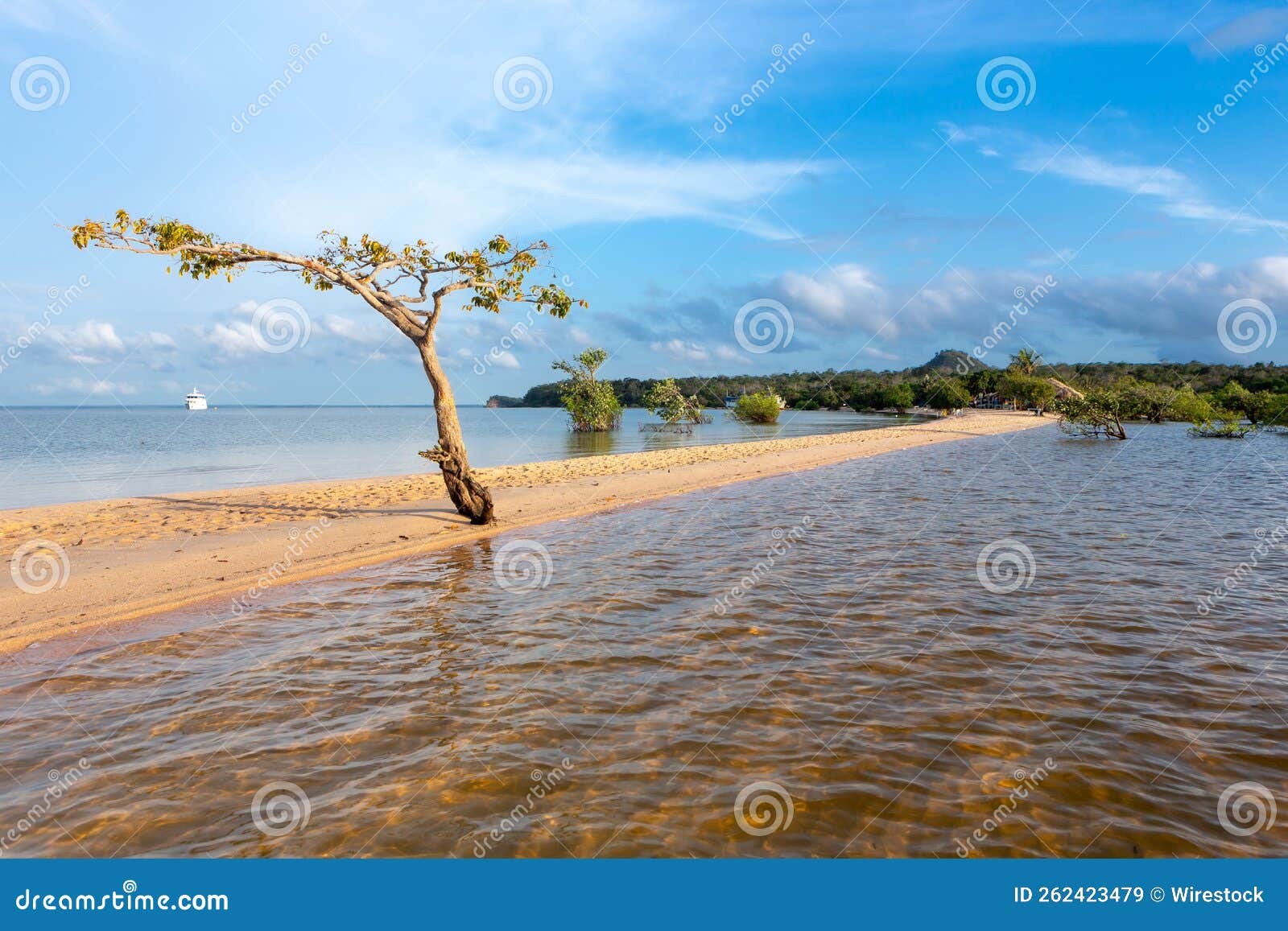 sandy beach by the tapajos river, in the amazon forest, brazil.