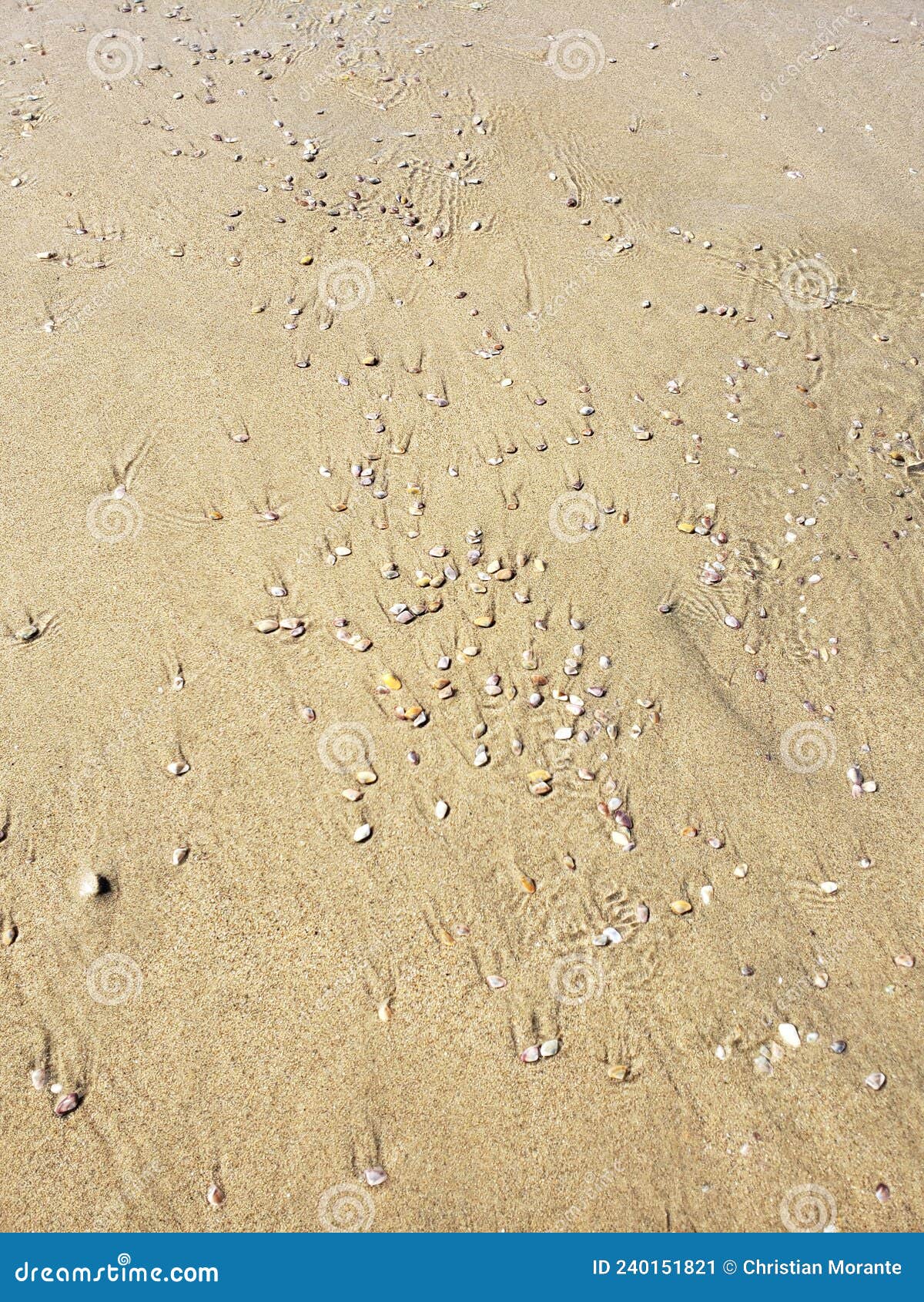 Bubble Tea At The Beach RoyaltyFree Stock Photography CartoonDealer