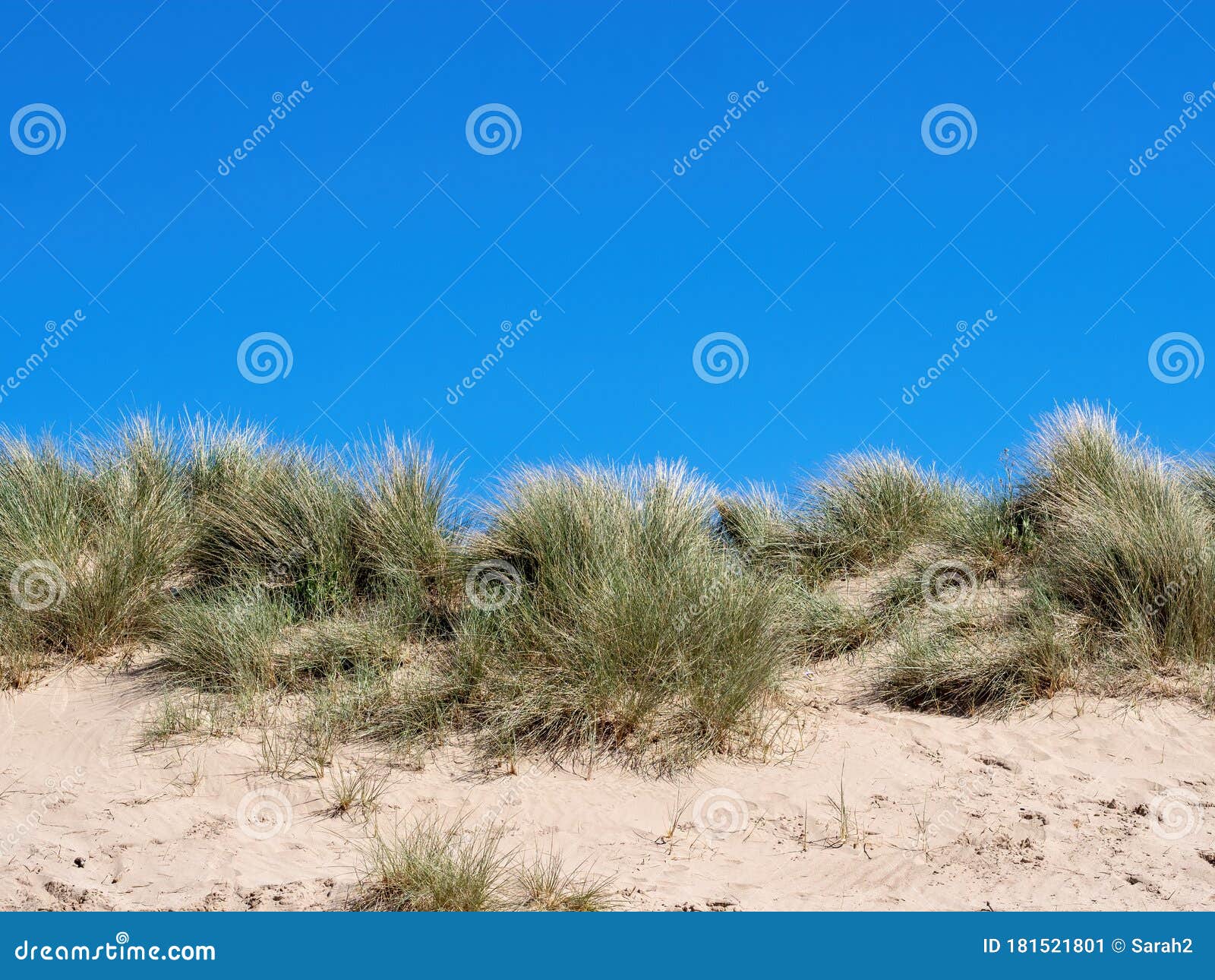 Lady in the dunes on a North Devon beach