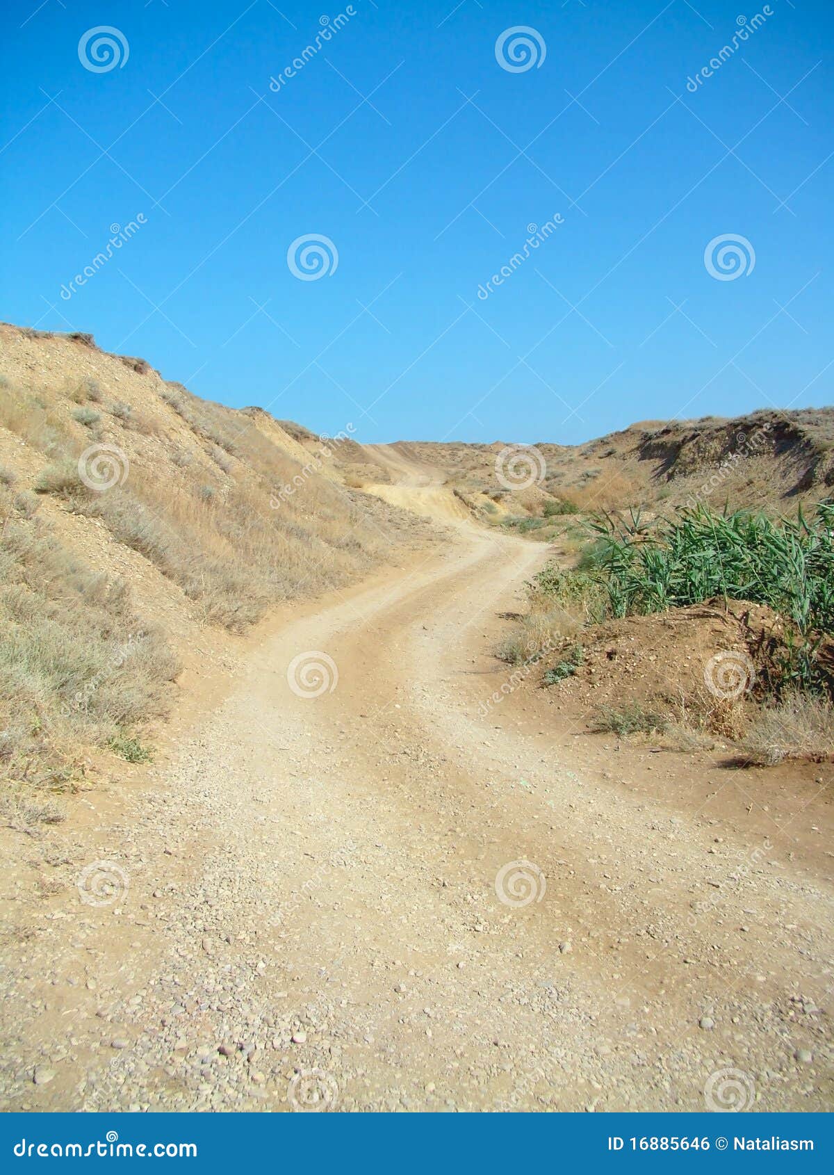 Sandy road. stock photo. Image of soil, sandy, road, steppe 16885646