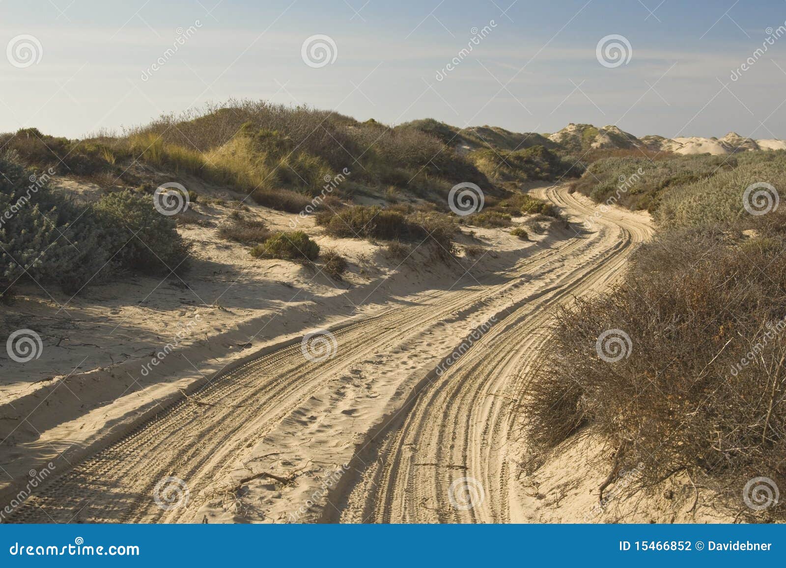 Sandy Road and tire tracks stock photo. Image of tracks 15466852