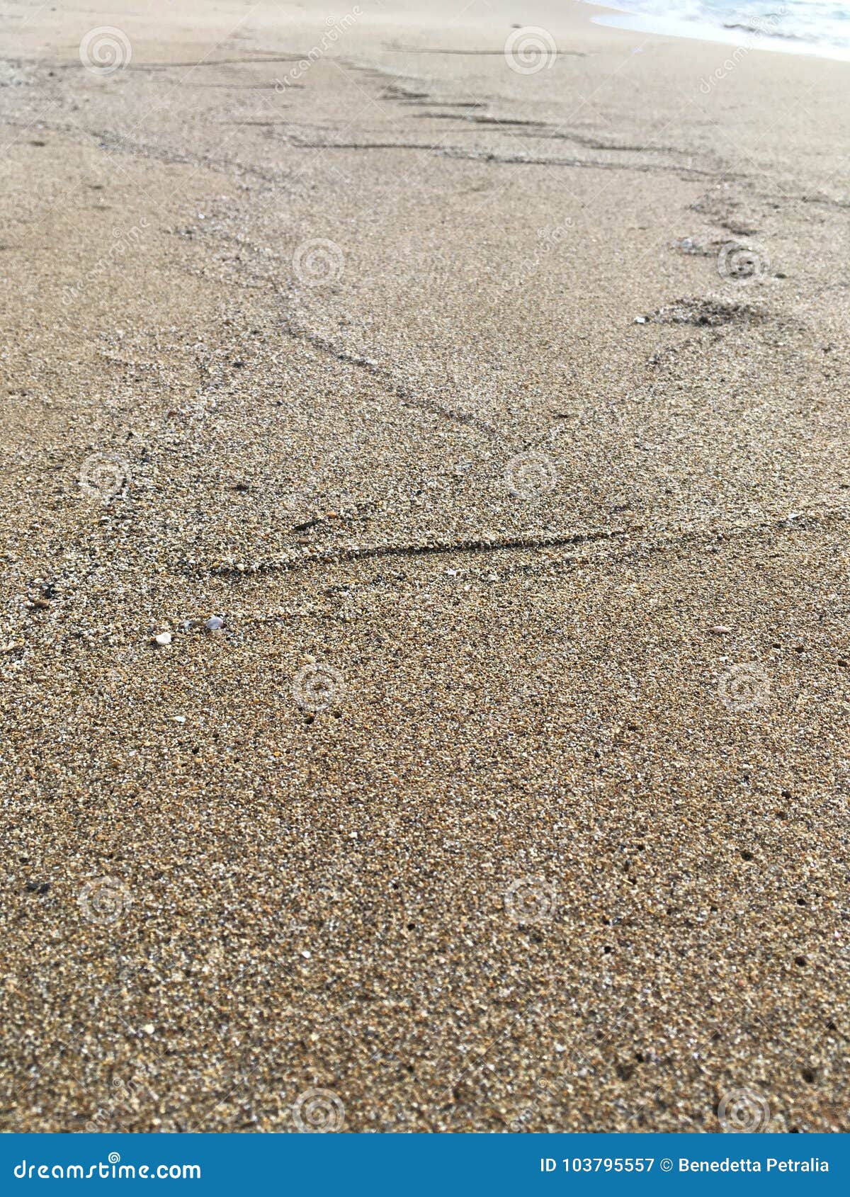 vista di spiaggia con sabbia e segno delle onde