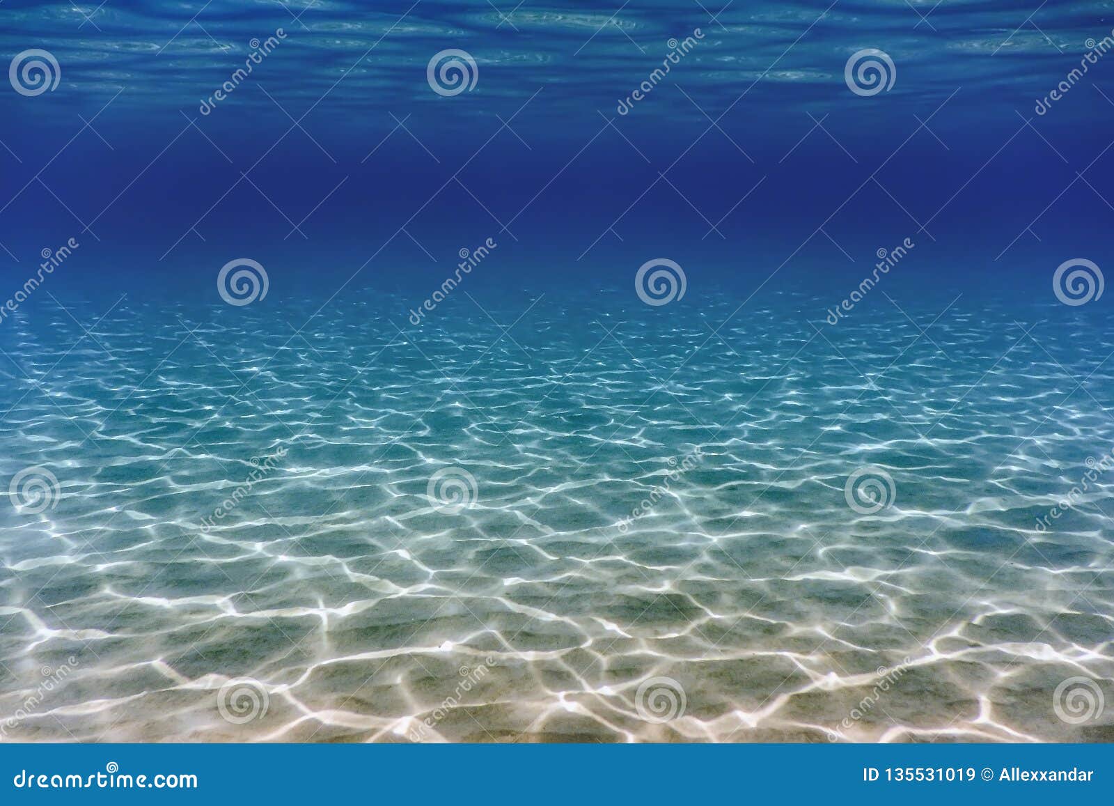 sandy sea bottom underwater background