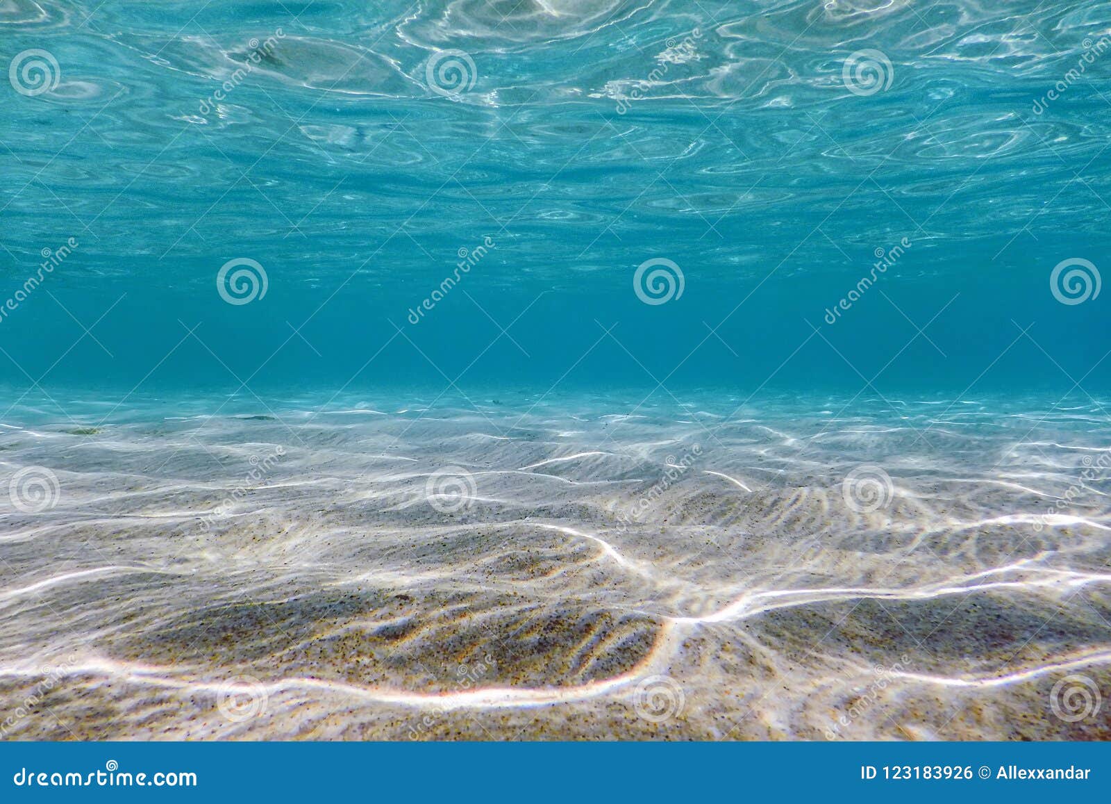 sandy sea bottom underwater background