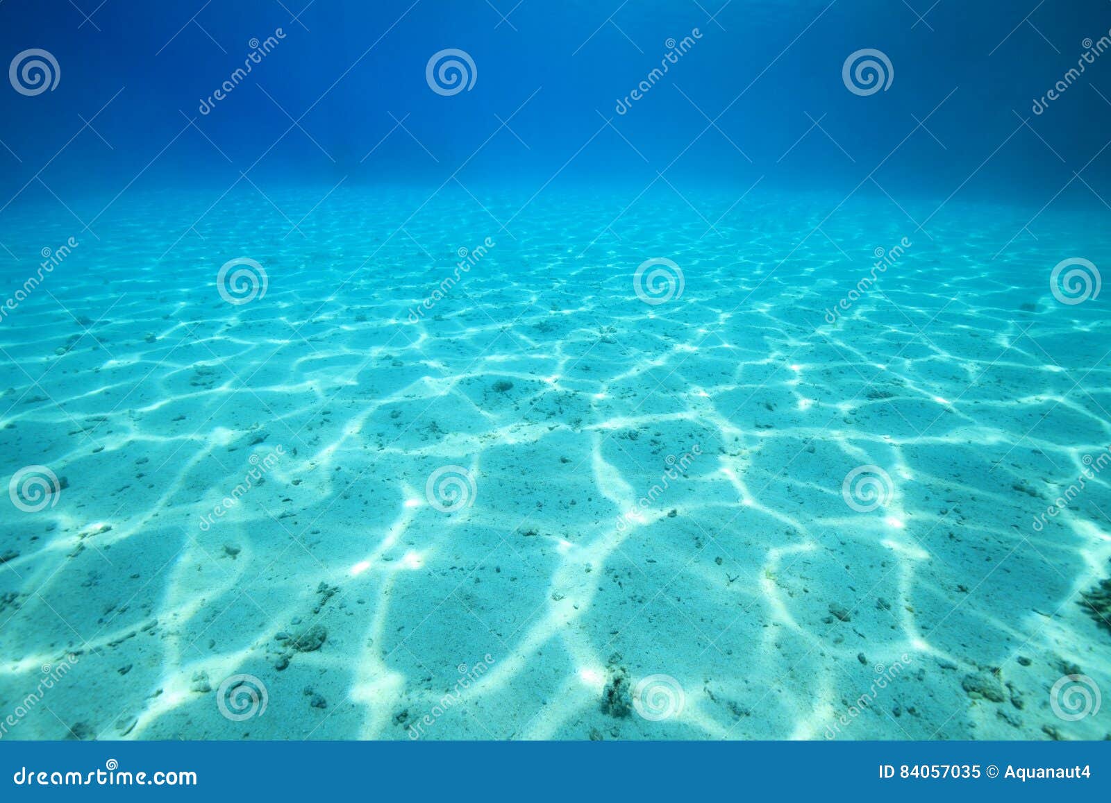 Sandy Sea Floor Stock Image Image Of Azure Desert Habitat