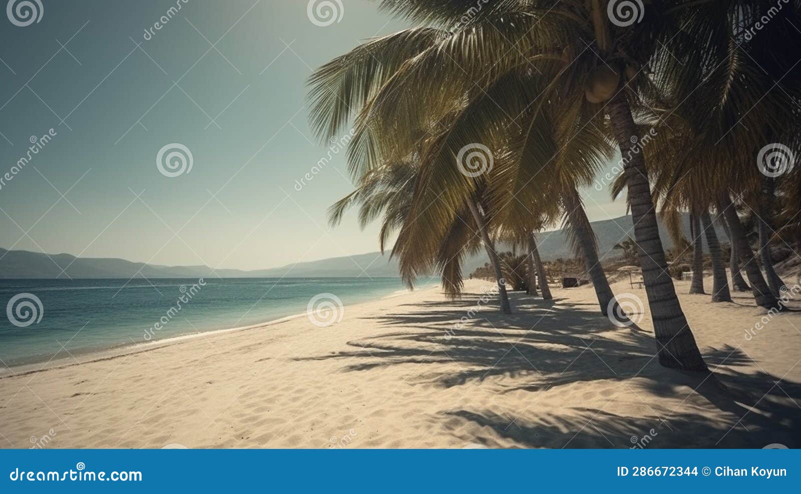 sandy shoreline and whispering trees