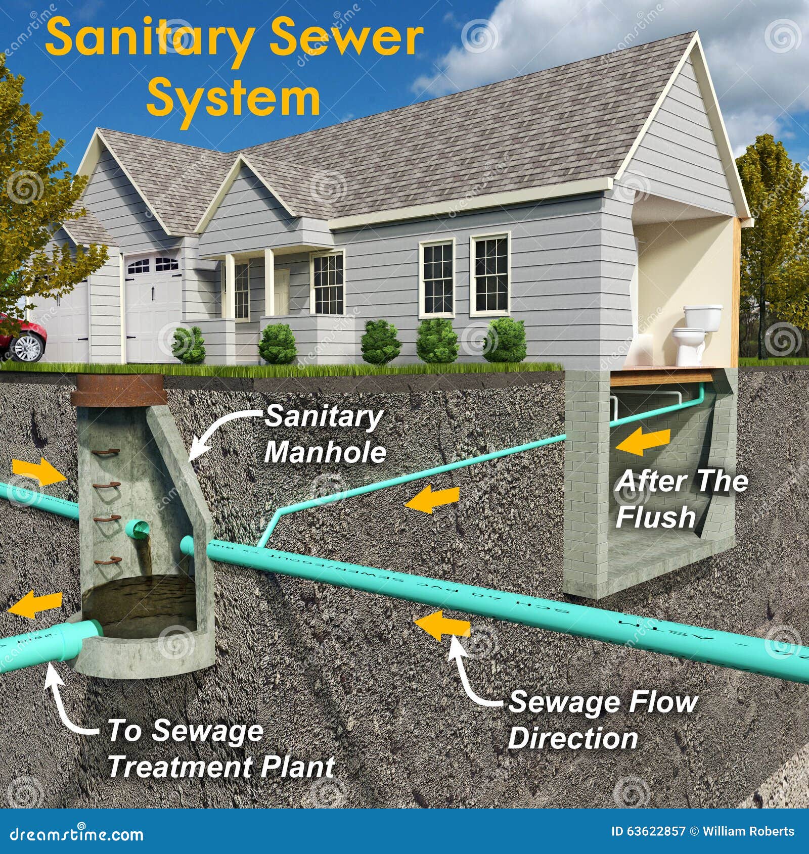 Sanitary System Diagram With Text Stock Illustration Illustration Of Flush Sewers 63622857