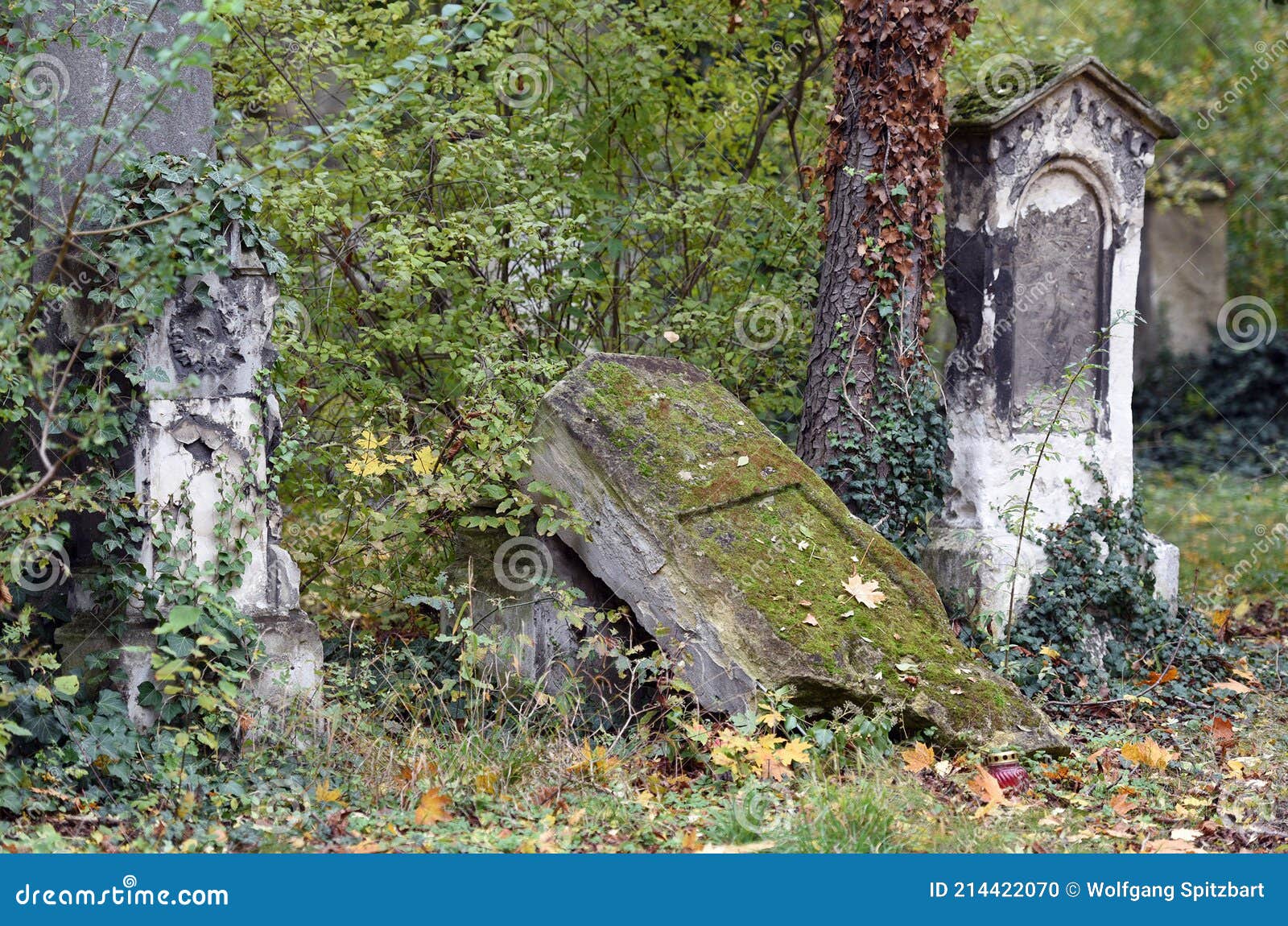 the sankt marx cemetery in vienna, which was closed in 1874 and is a listed building