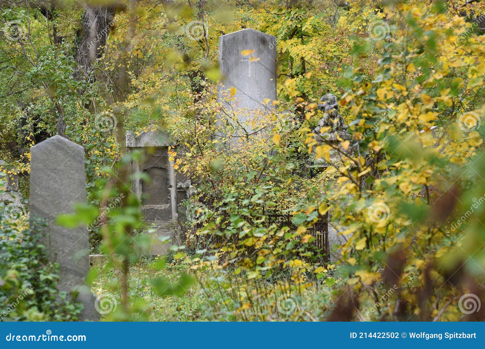 the sankt marx cemetery in vienna, which was closed in 1874 and is a listed building