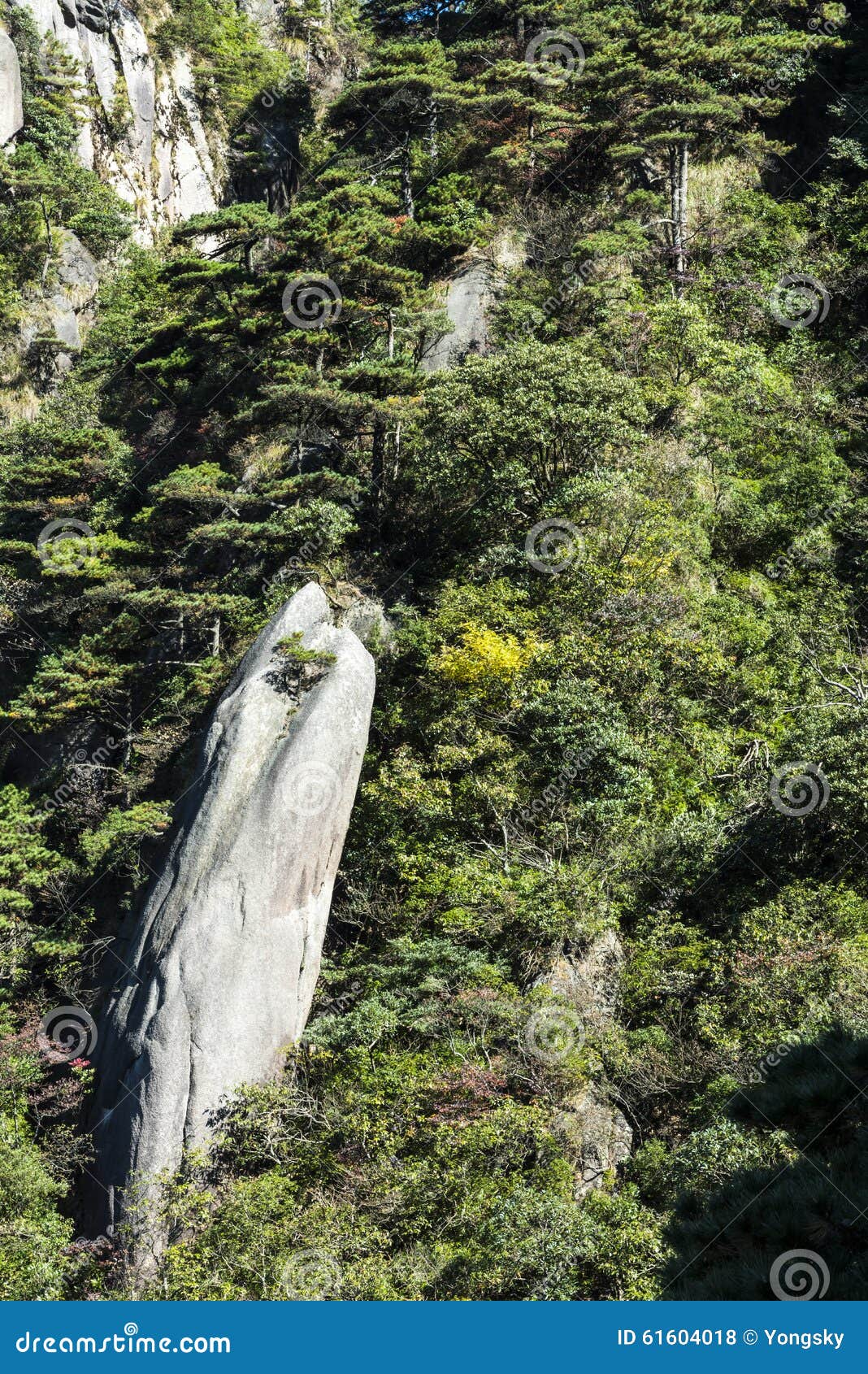 Sanqingshan Mountain Scenery Stock Photo - Image of tall, scenic: 61604018