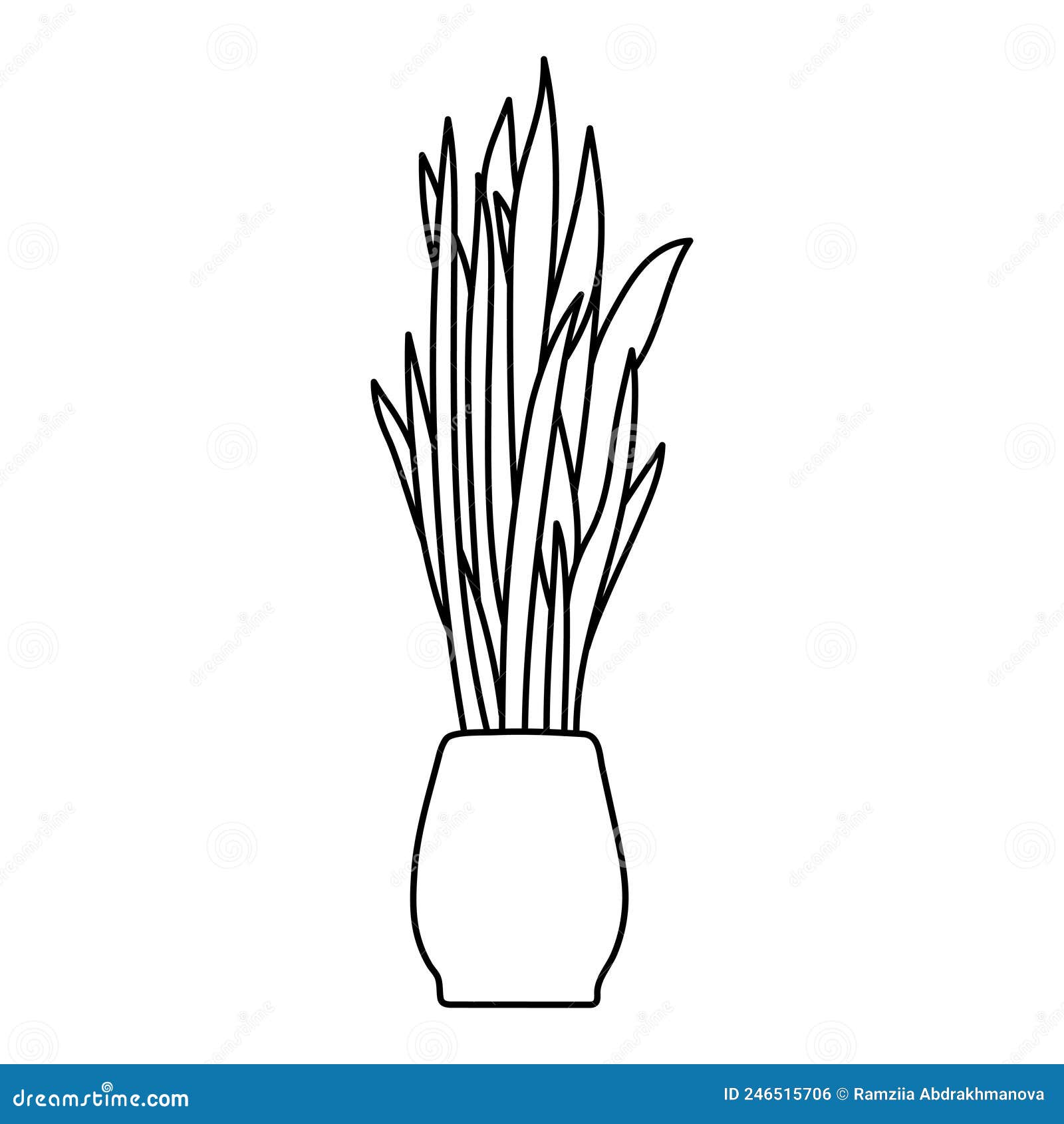 Snake Plant Drawing PNG, Vector, PSD, and Clipart With Transparent  Background for Free Download | Pngtree