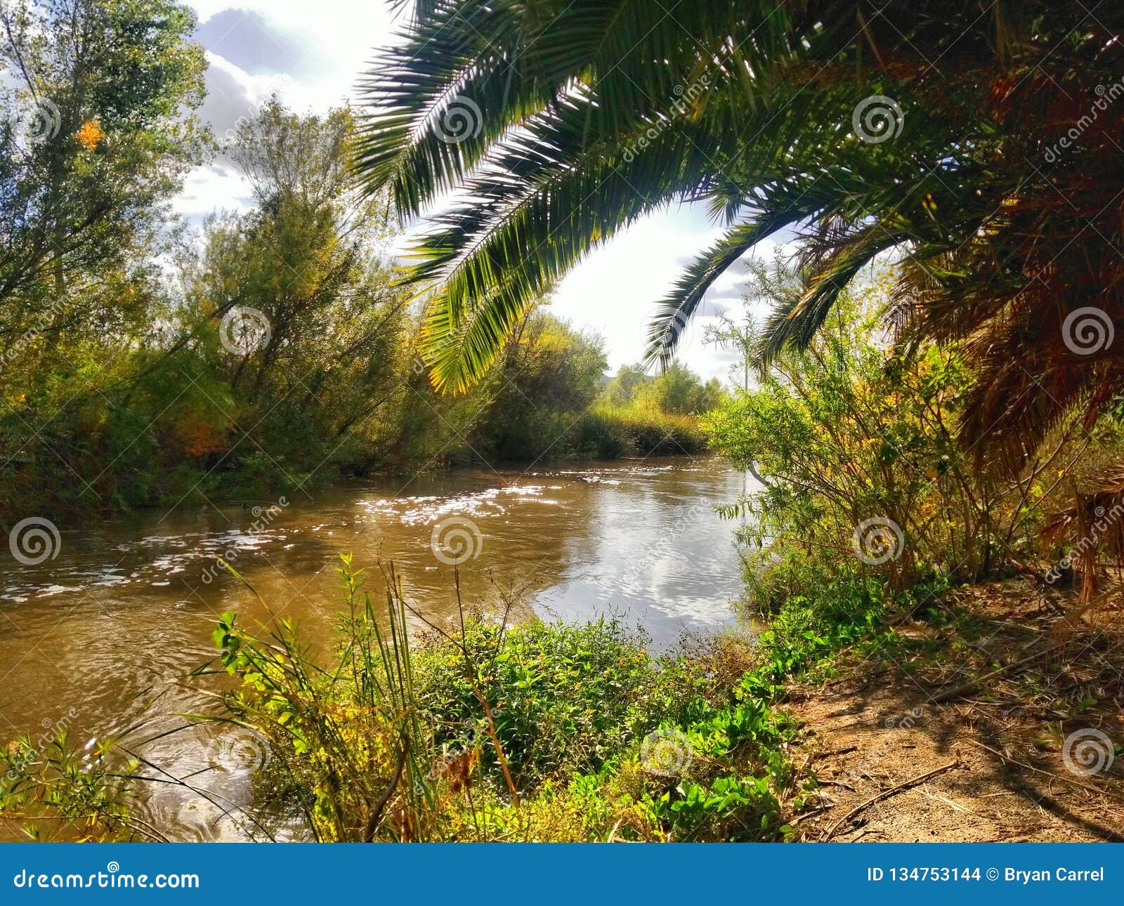 santa ana river near the anaheim wetlands