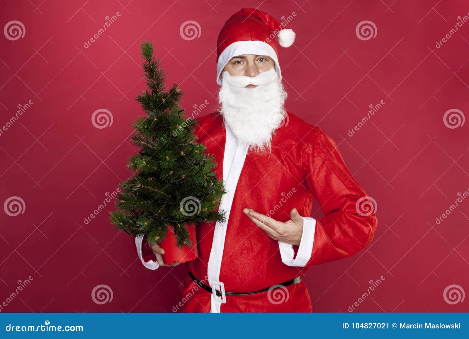 Santa Claus Points To the Perfect Christmas Tree Stock Image Image of