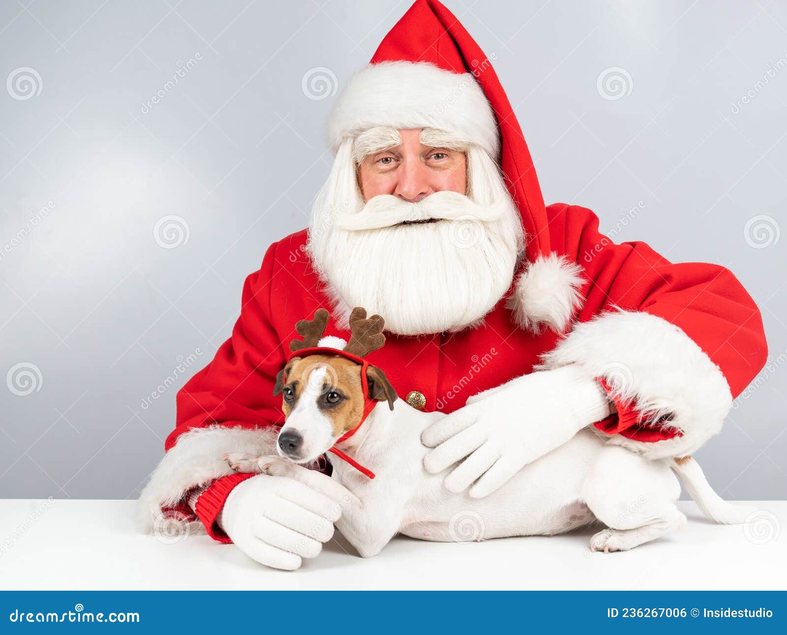 Santa Claus Y Jack Russell Terrier Dog Vestido Como Una Asistente De Renos  Con Un Fondo Blanco. Foto de archivo - Imagen de mejor, mascarada: 236267006
