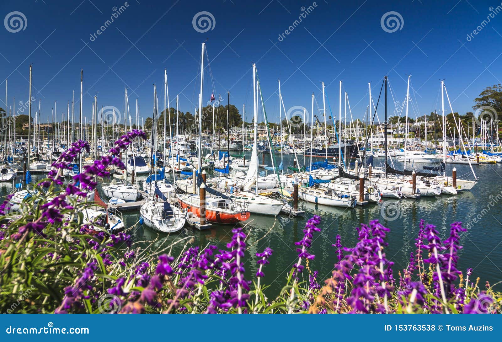 santa cruz yacht harbor office