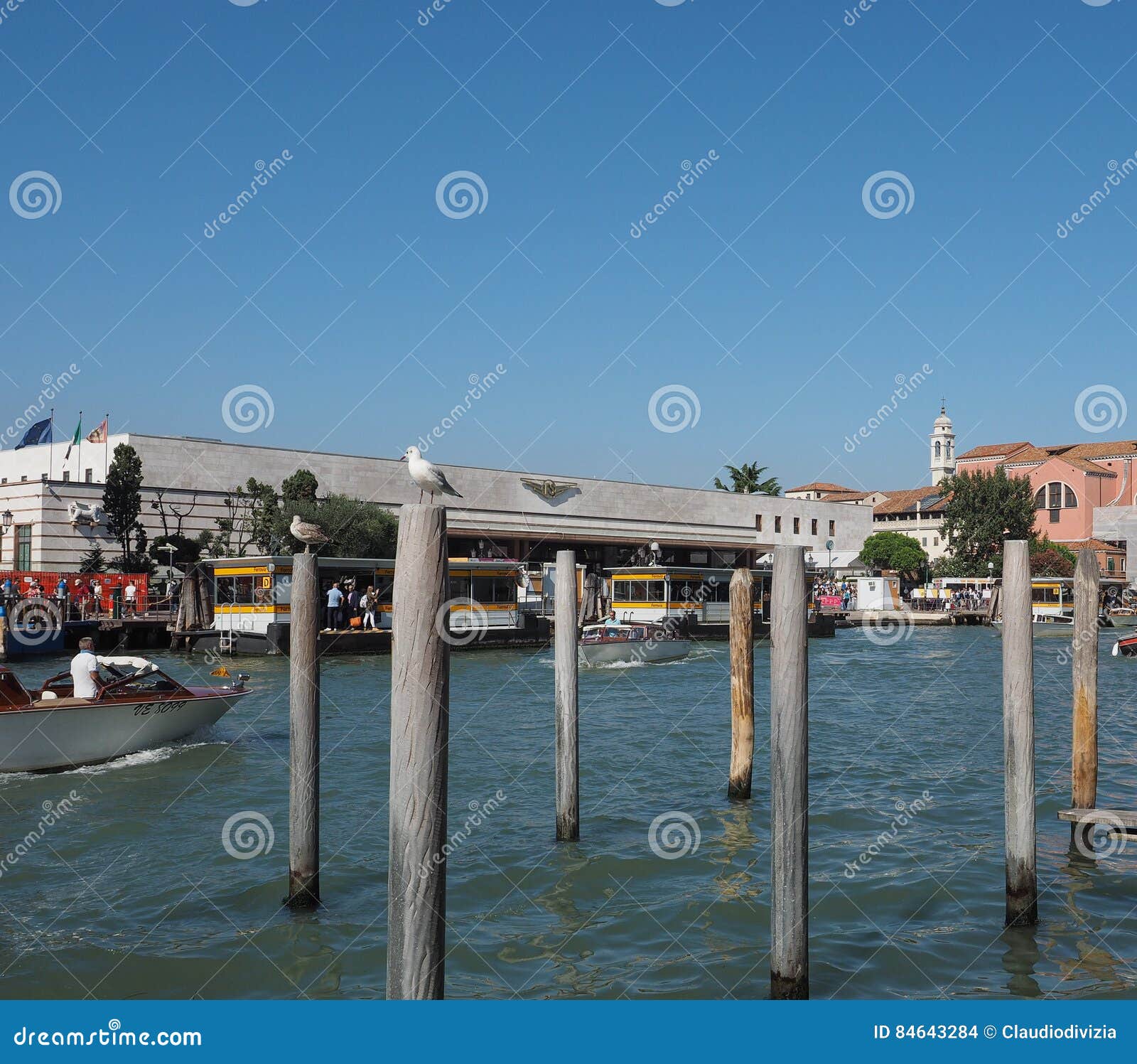 My Image 3