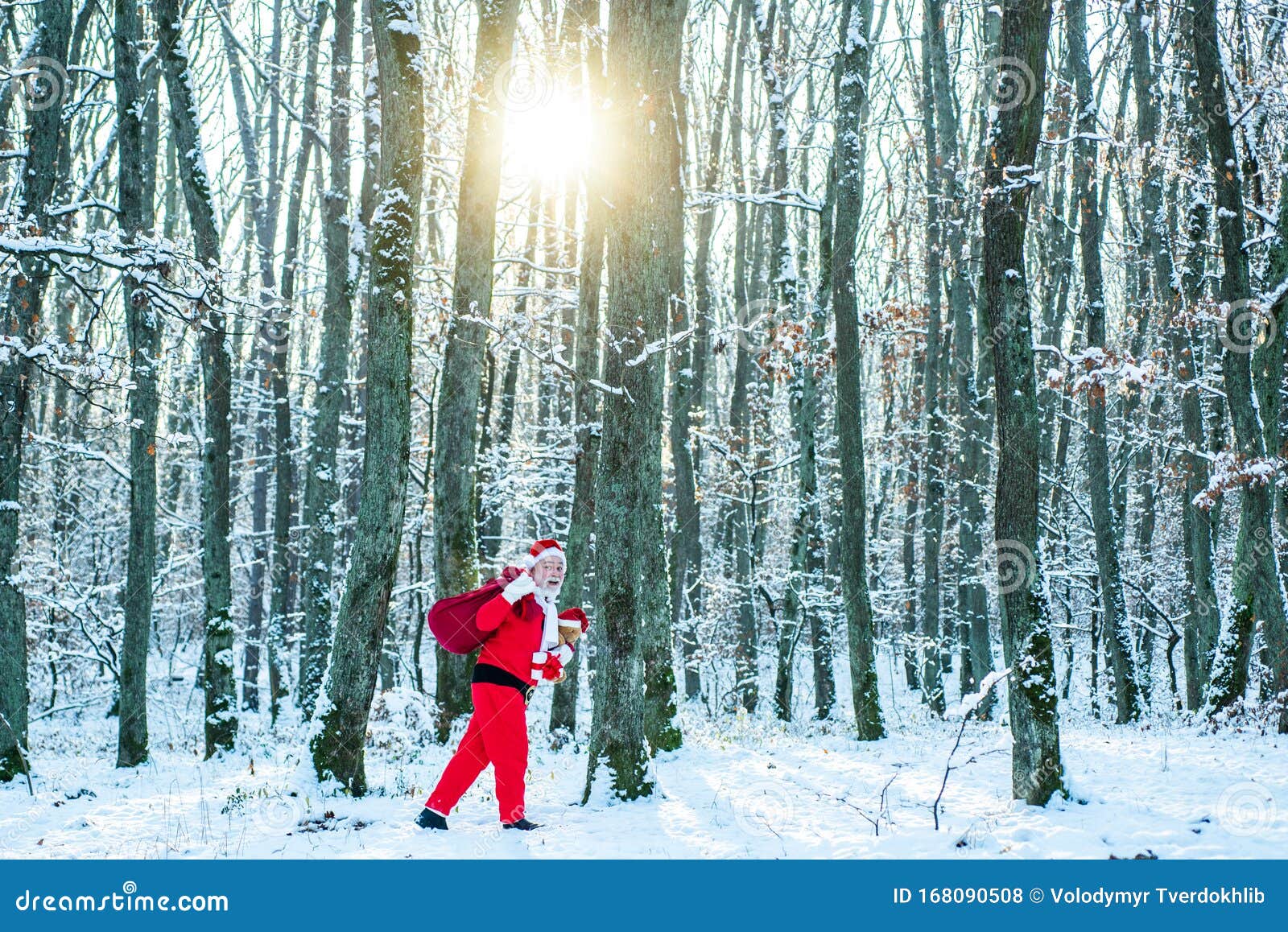 santa magical fog walking along the field. christmas celebration holiday. santa in the winter field. santa claus in red