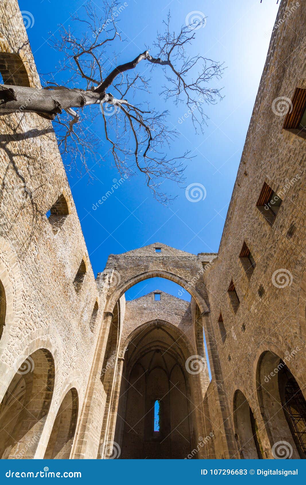 santa maria dello spasimo roofless church in palermo, italy