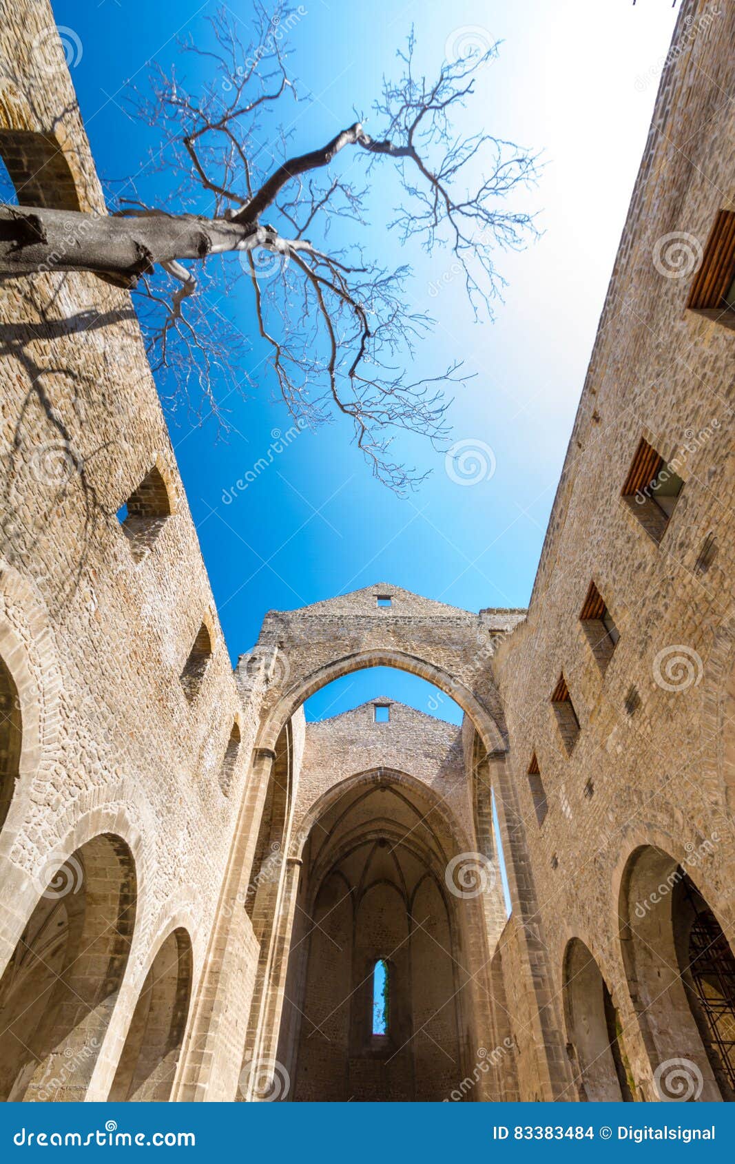 santa maria dello spasimo roofless church in palermo, italy