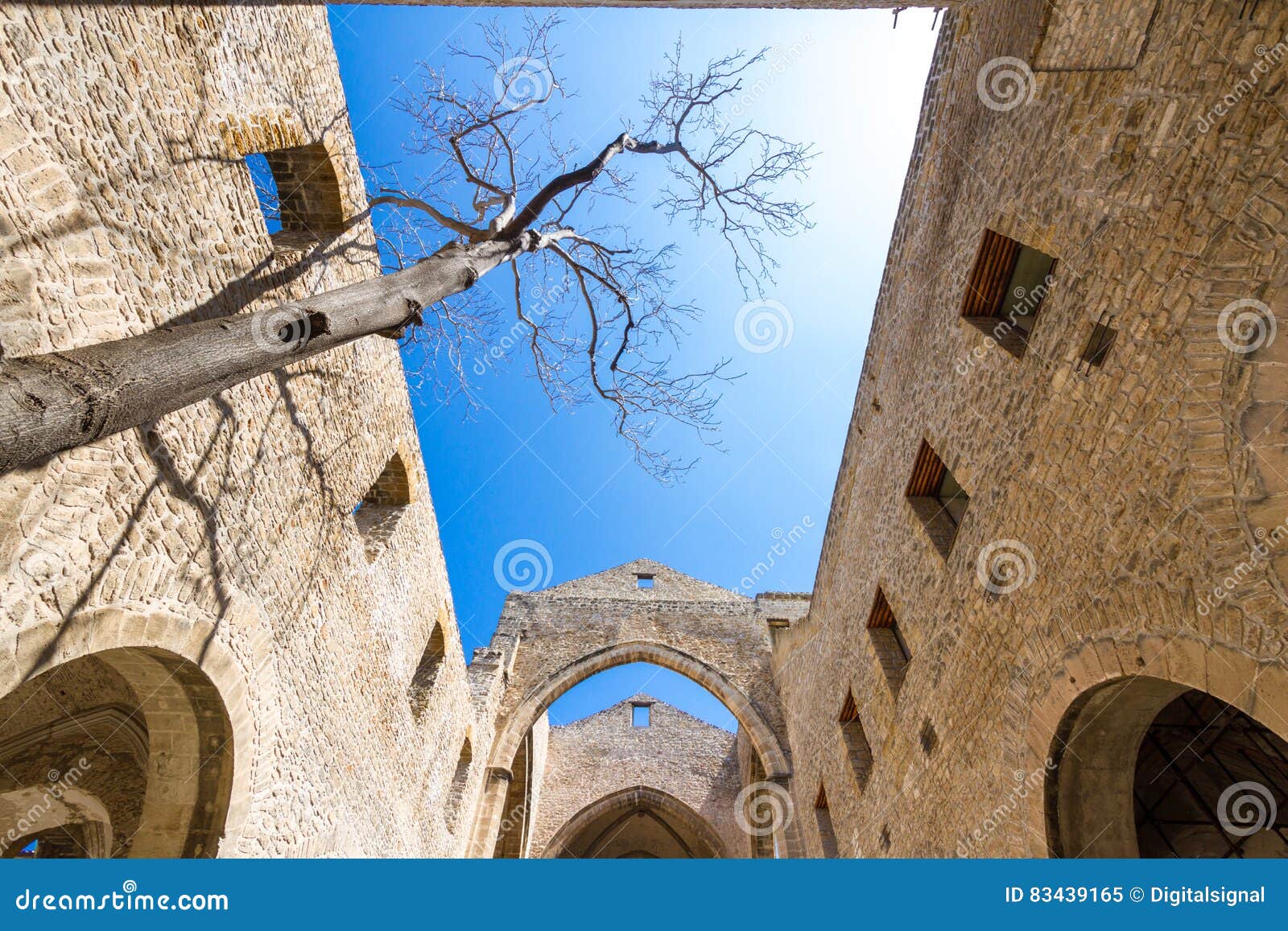 santa maria dello spasimo roofless church in palermo, italy